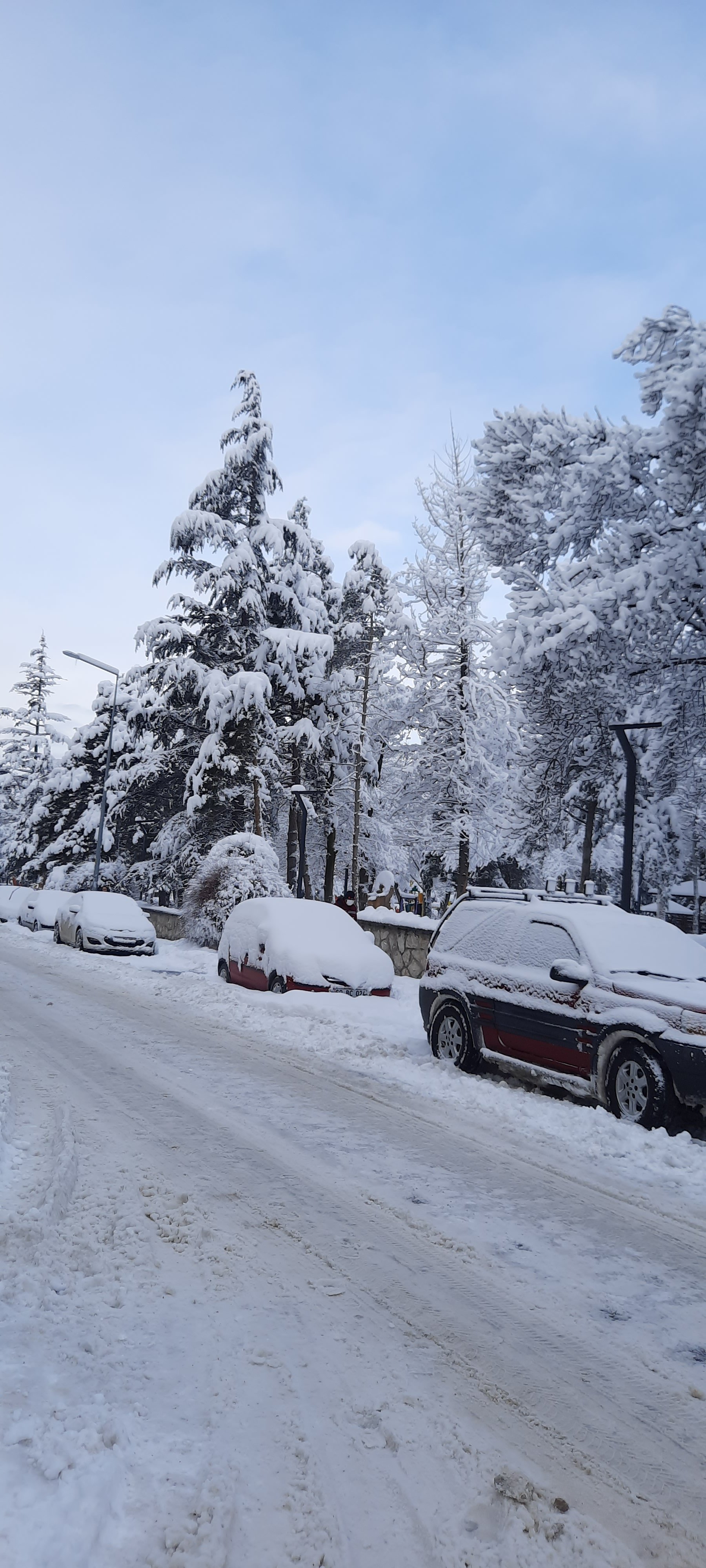 Samsun'a Kar mı Geliyor ?
