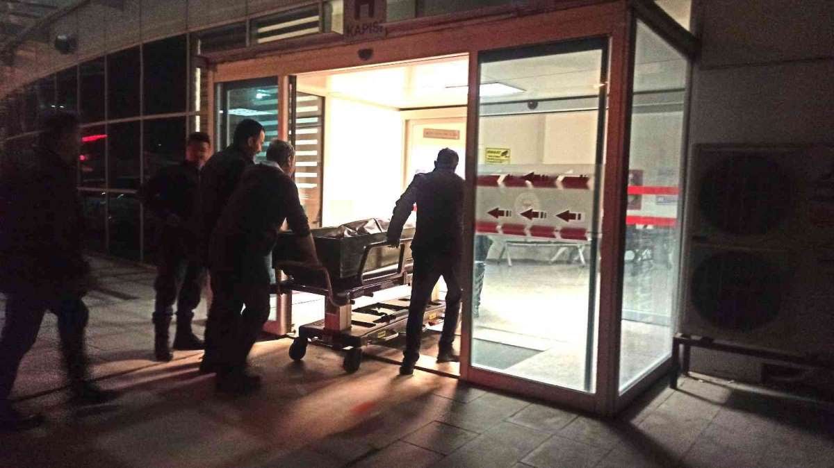 Ağacın Altında Kalarak Hayatını Kaybetti