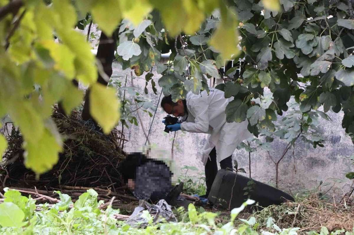 İncir Ağacı'nda Kimliği Belirsiz Ceset