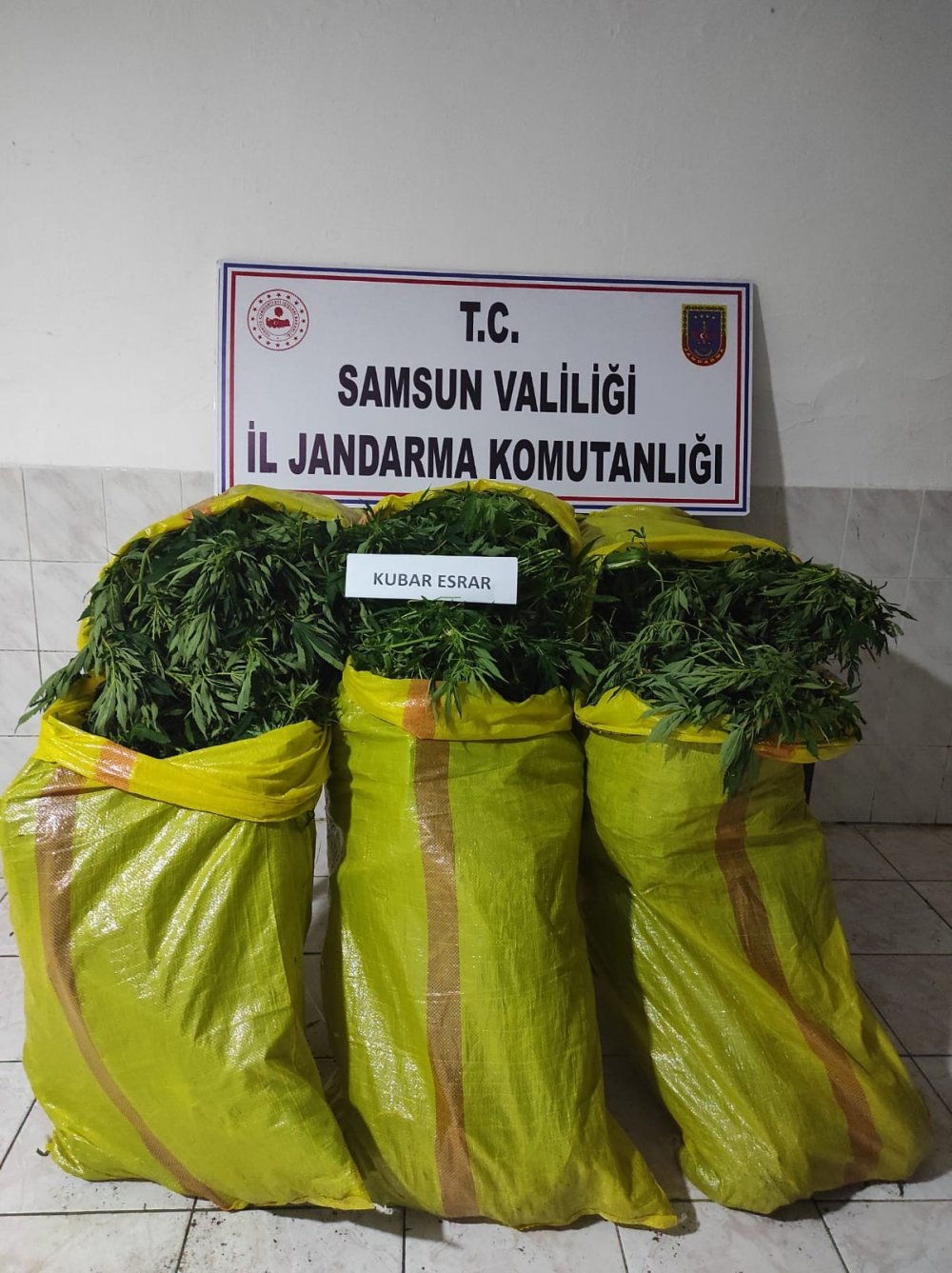 Bafra da 55 Kilo Esrar Ele Geçirildi