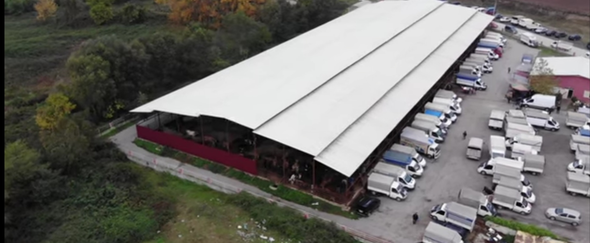 Samsun Canlı Hayvan Pazarı Kapatıldı 