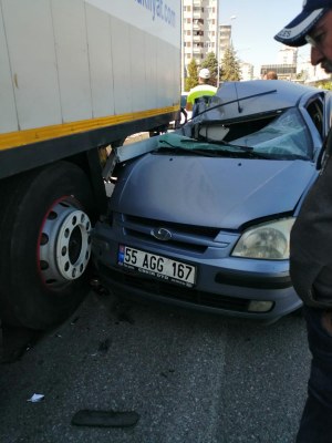 Arabaya Giren Sinek Kazaya Sebep Oldu