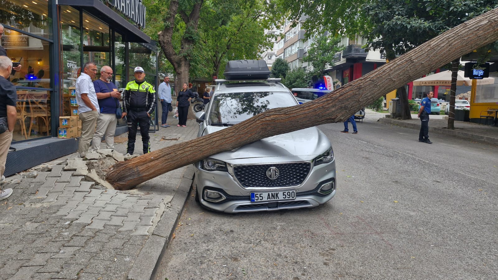 Samsun’da Fırtına Dehşeti: Ağaç Park Halindeki Aracın Üzerine Devrildi