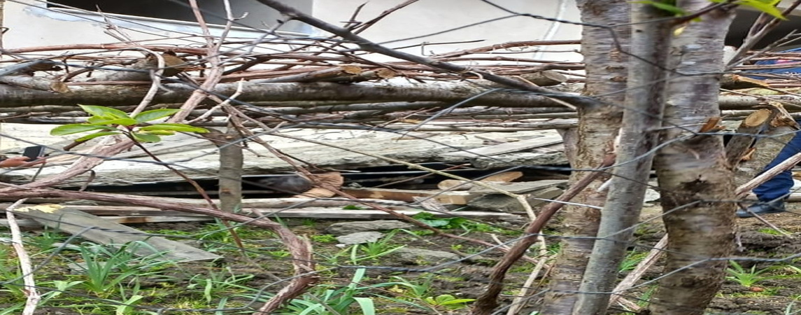 Terme de Balkon İnşaatı Çöktü 