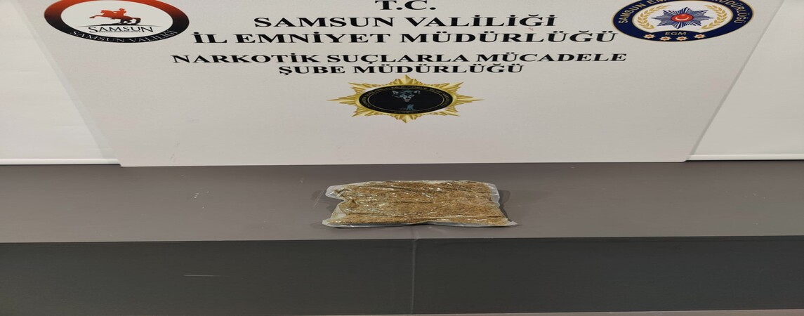 Şüpheli Araç da Bonzai Ele Geçirildi 