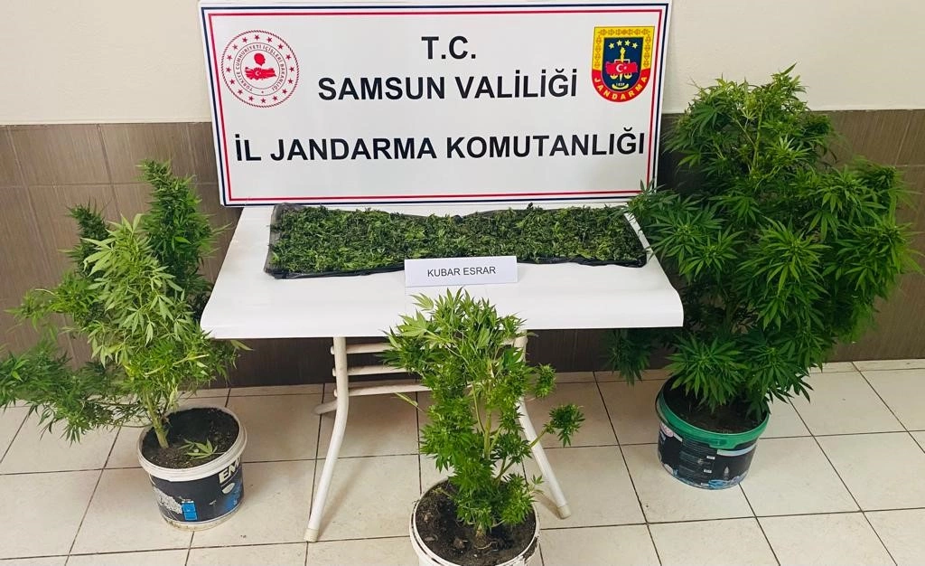 Çarşambadan Uyuşturucu Operasyonu