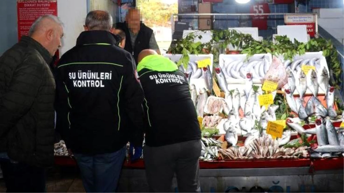 Avlanma Kriterlerine Uymayan 54 İşletmeye Ceza