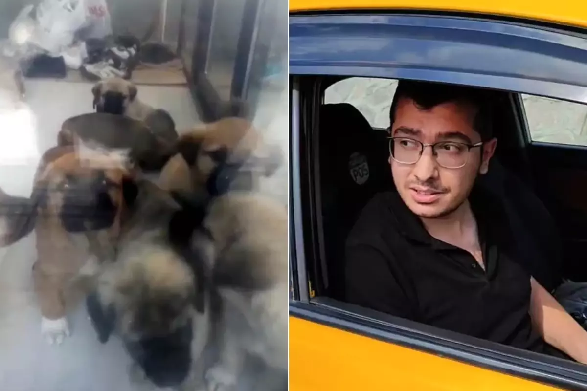Cani Doktorun Parçalayıp Öldürdüğü Köpek Sayısı 26'yı Buldu