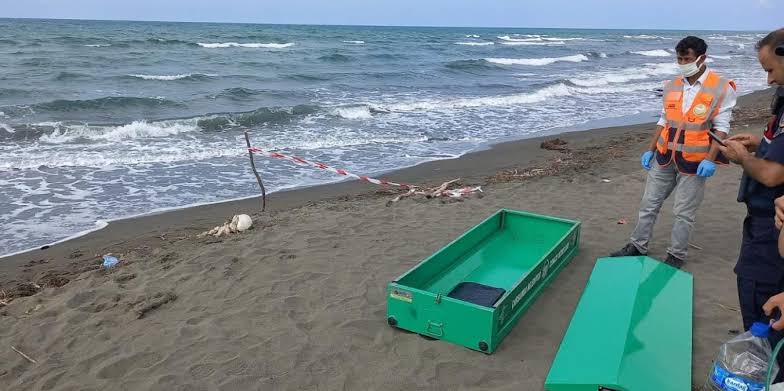 Çarşamba İlçesinde Kafatası Paniği 