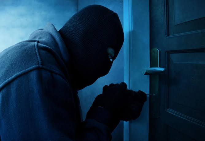 Film Gibi Hırsızlık 