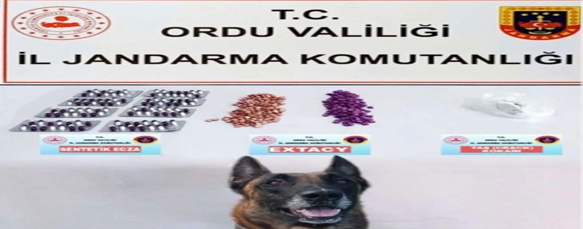 Jandarmadan Narkotik Operasyonu