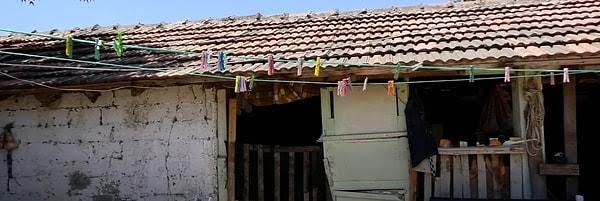 Bafra Halkı Silahlı Yılan Nöbetinde 