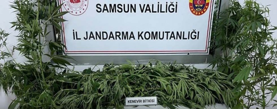 Bafra da Uyuşturucu Ticaretine Operasyon