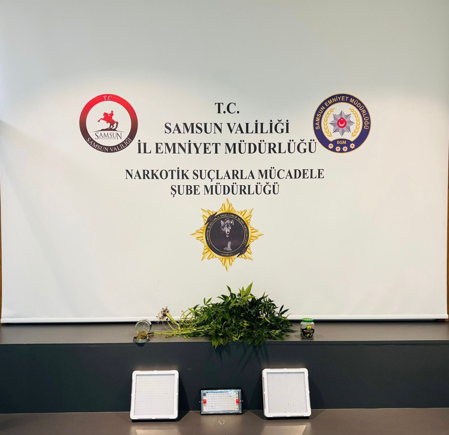 İlkadım'da Yasadışı Kenevir Baskını 