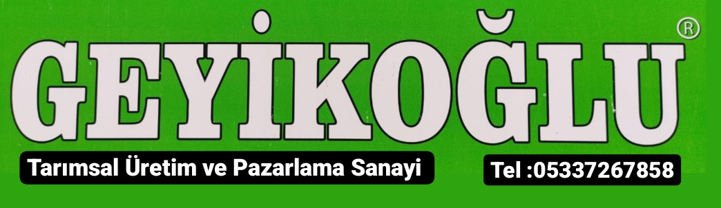 Geyikoglu 